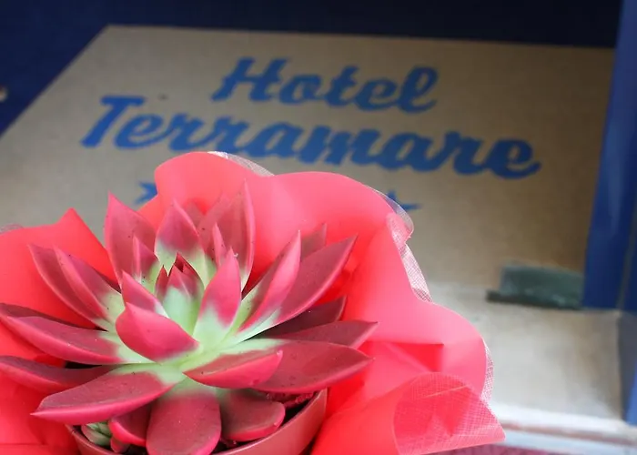3 SterneHotel Terramare